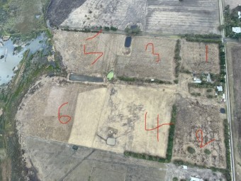 Various paddocks available 