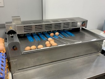 Egg Grader Riva Selegg S21