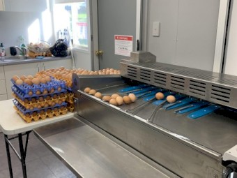 Egg Grader Riva Selegg S21