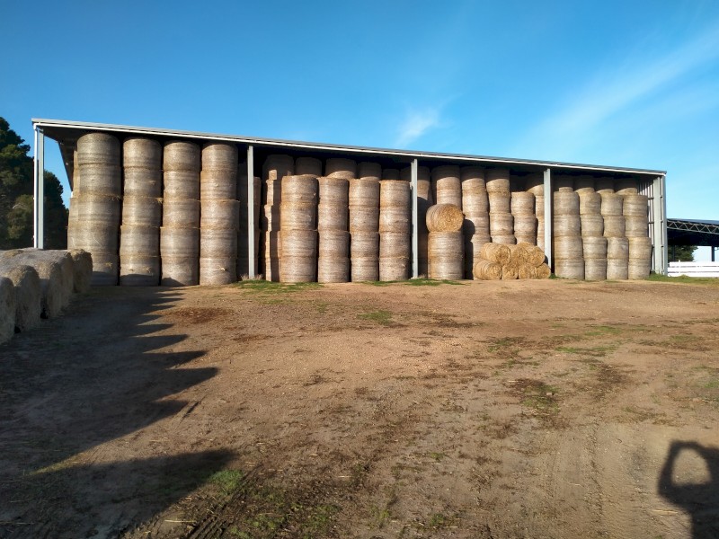 200mt  Wheaten and Ryegrass Hay 360kg Rolls