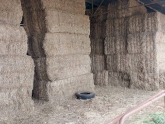 19/20 Season Vetch Hay