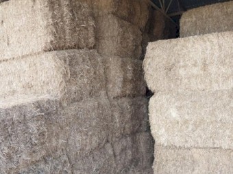 19/20 Season Vetch Hay