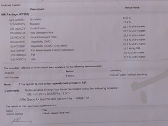2019 Season Vetch Hay 
