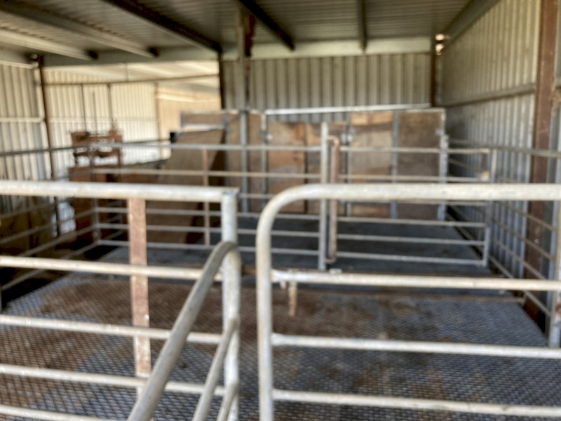 2 Stand shearing platform