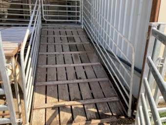 2 Stand shearing platform