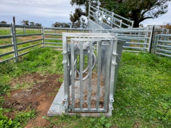  Sheep Turnover Crate Catcher Sheep Handler