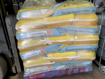 Nuseed ATR-Stingray canola seed 1200kg