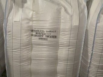 Beardless Barley (Moby)