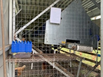 Chicken Caravan For Sale 