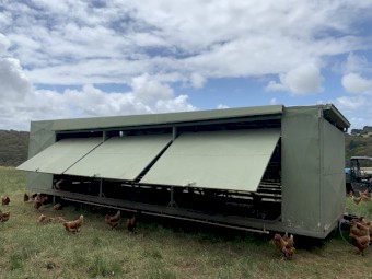 Chicken Caravan For Sale 