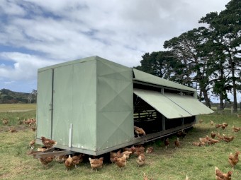 Chicken Caravan For Sale 