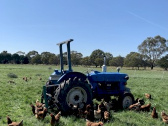 1975 Ford Tractor For Sale 