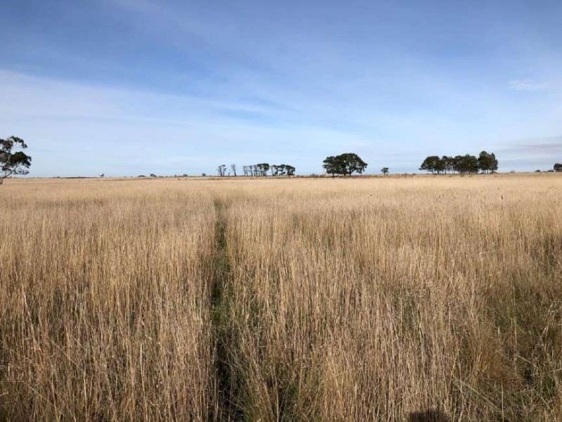 Circa 165 Acre Land Lease or Agistment for Cattle/Sheep