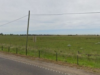 Circa 165 Acre Land Lease or Agistment for Cattle/Sheep