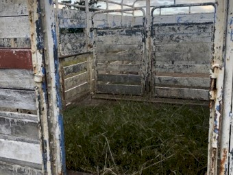 Timber Livestock/Cattle Crate