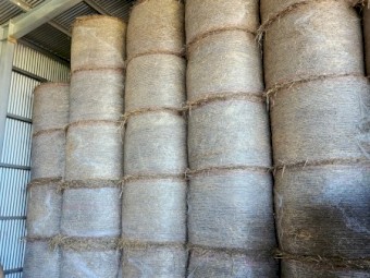 New Season Awnless Wheaten Hay