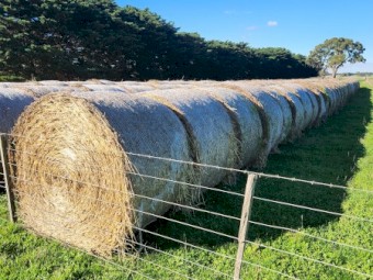 Awnless Wheaten Hay 350kg Round Bales