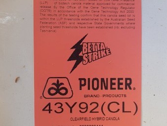 43Y92 CL seed