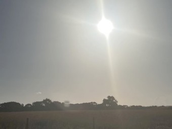 Agistment available in Geelong