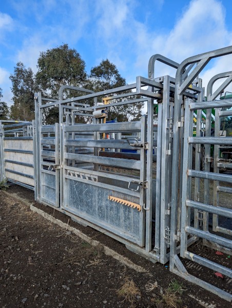 Brazzen HD Vet Crush  Weigh Platform,