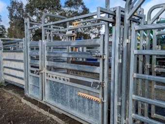 Brazzen HD Vet Crush  Weigh Platform,