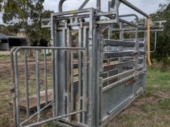 Brazzen HD Vet Crush  Weigh Platform,