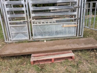 Brazzen HD Vet Crush  Weigh Platform,