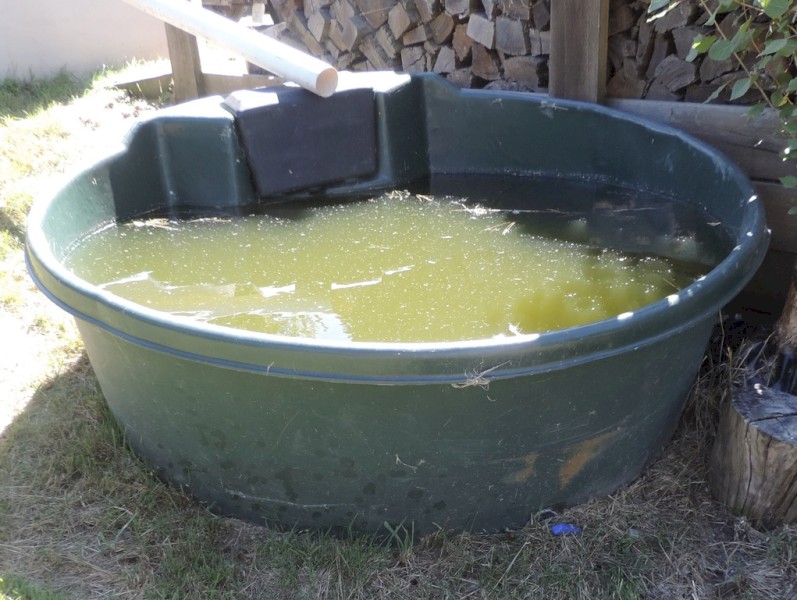 Rapid round water trough