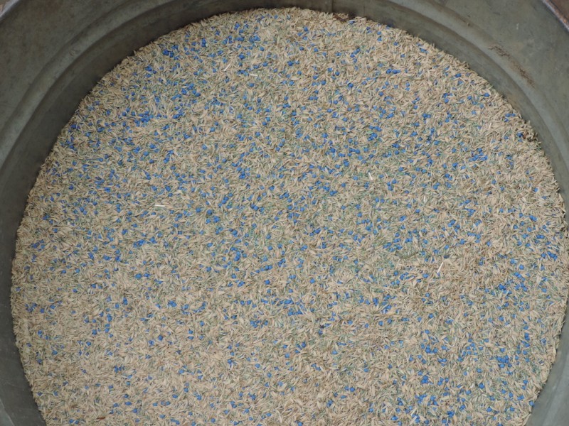 Crt Pasture seed mix