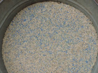 Crt Pasture seed mix