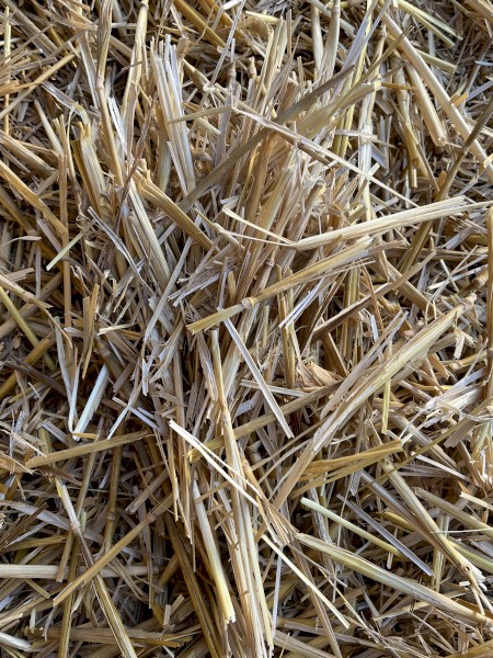 Wheat straw