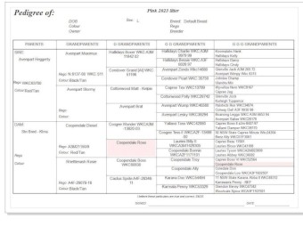 Woodland View Kelpie Stud