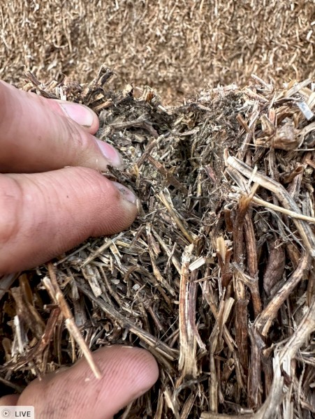 1 B Double Load of Vetch Hay that has been rejected by the buyer - Ex Gippsland
