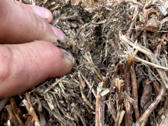 1 B Double Load of Vetch Hay that has been rejected by the buyer - Ex Gippsland