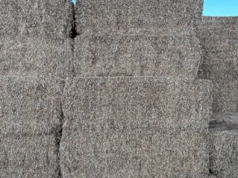 1 B Double Load of Vetch Hay that has been rejected by the buyer - Ex Gippsland