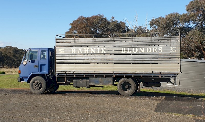 1995 Isuzu  FSR700 Long Cattle truck 