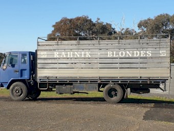1995 Isuzu  FSR700 Long Cattle truck 