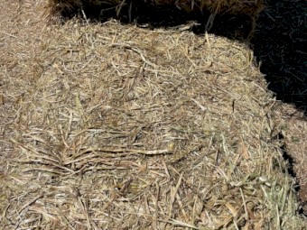 Oaten Hay 8x4x3 Bales (New Season 22/23)
