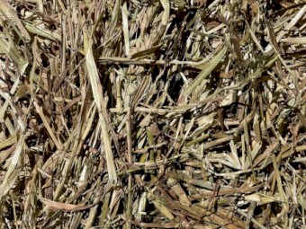 Oaten Hay 8x4x3 Bales (New Season 22/23)