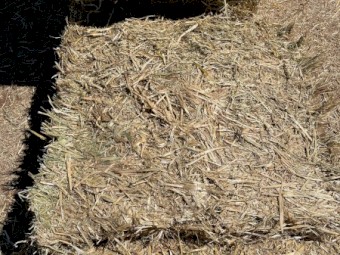Oaten Hay 8x4x3 Bales (New Season 22/23)