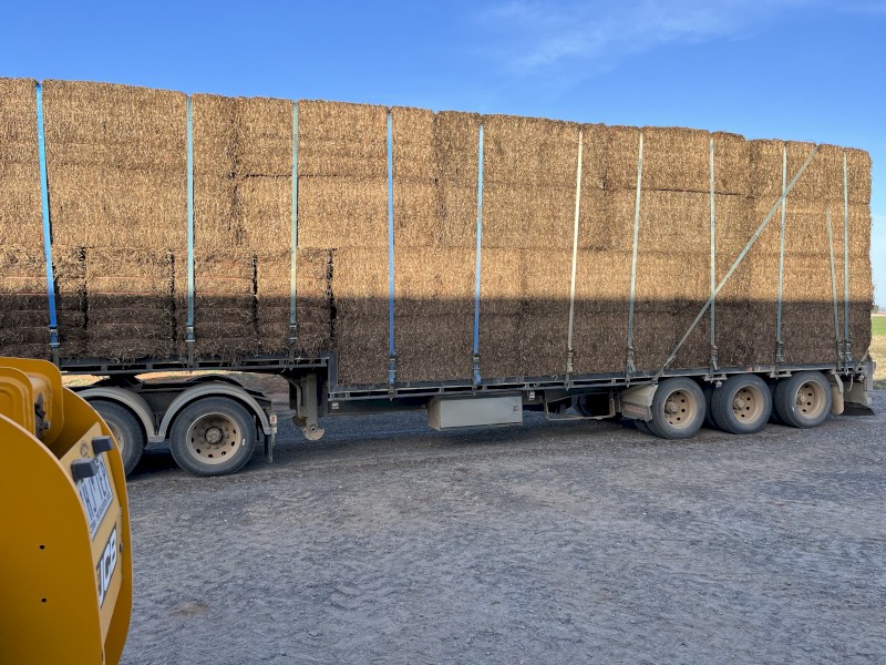 200mt Vetch Hay 8x4x3 Bales