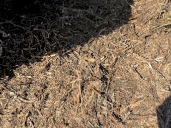 200mt Vetch Hay 8x4x3 Bales