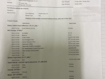 200mt Vetch Hay 8x4x3 Bales