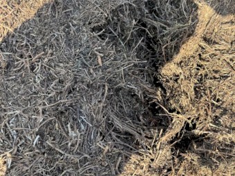 200mt Vetch Hay 8x4x3 Bales