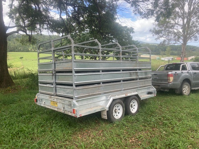 Box trailer with cage and stock crate tandem axle 3200 GVM 12*6