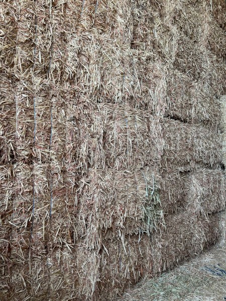 125mt Sorghum Hay 600-650kg 8x4x3 Bales