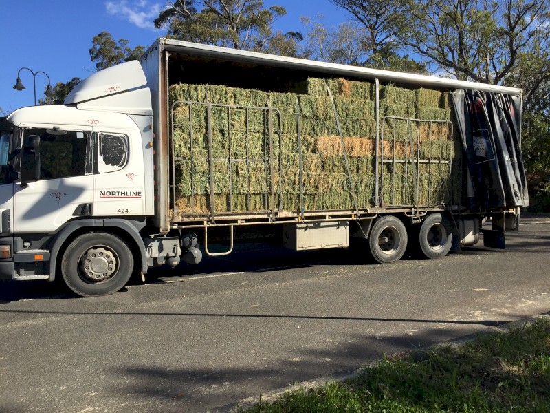 Hay delivery service from the Central West and Hunter to most areas.