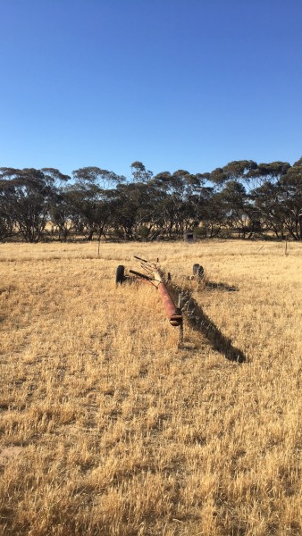 CLEAN UP SALE!  All offers welcome!