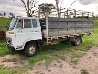 1984 Isuzu Tray Truck