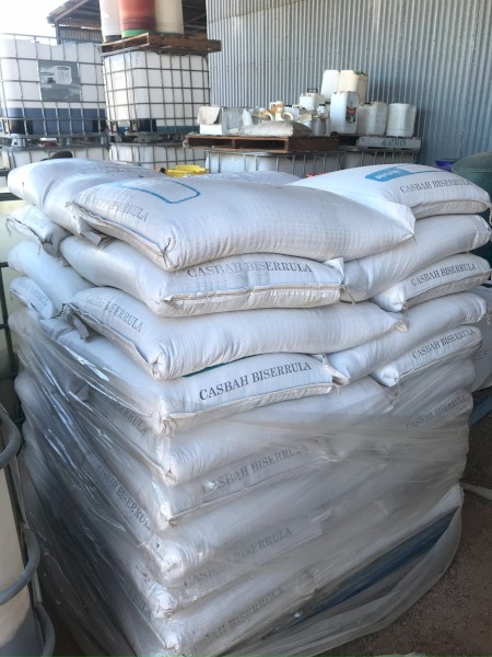 Casbah Biserrula Pasture Seed